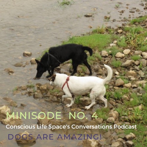 Minisode No 4 Dogs Are Amazing God Spelt Backwards Dog By The Mindful Soul Center On Soundcloud Hear The World S Sounds