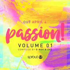 Passion Volume 1 Dj - Mix