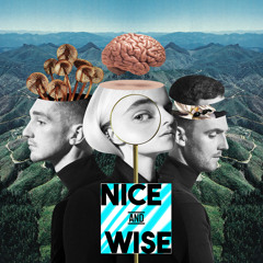 Clean Bandit - Mama (feat Ellie Goulding) (Nice & Wise Remix) //FREE DOWNLOAD