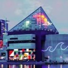 SBO Boyz- Crazy City (Quick Mix)