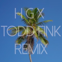 HGX (Todd Fink Remix)