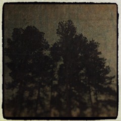 Scars Taught Me Lessons (Prod. Savvy)