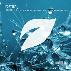 Forteba - Aquafield (Electricano Remix)(cut)