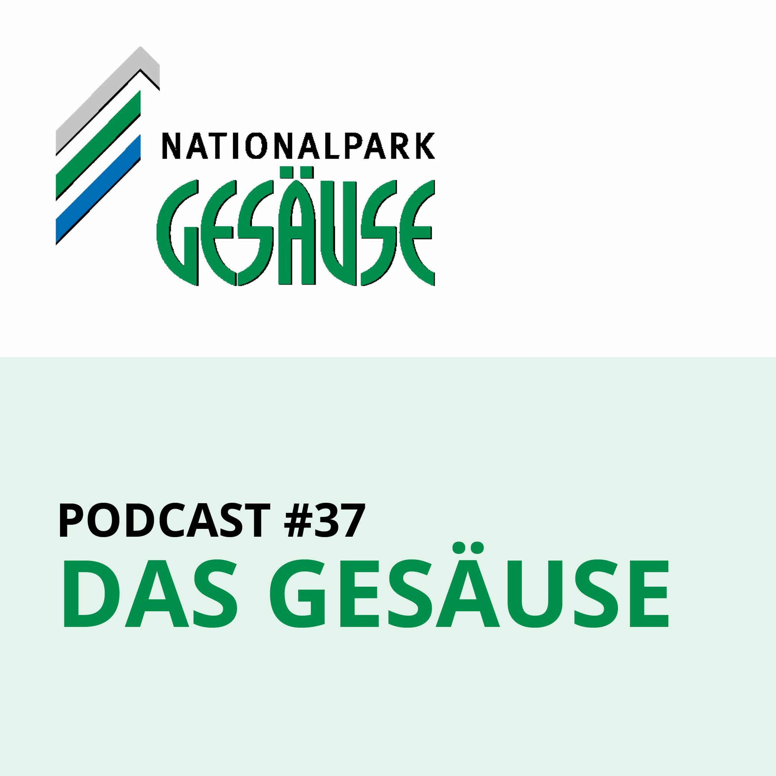 Nationalpark Gesäuse Podcast