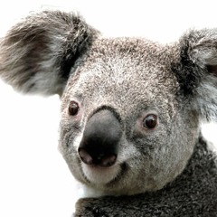 BERLIN - TAKE MY BREATH AWAY [$LOWED]