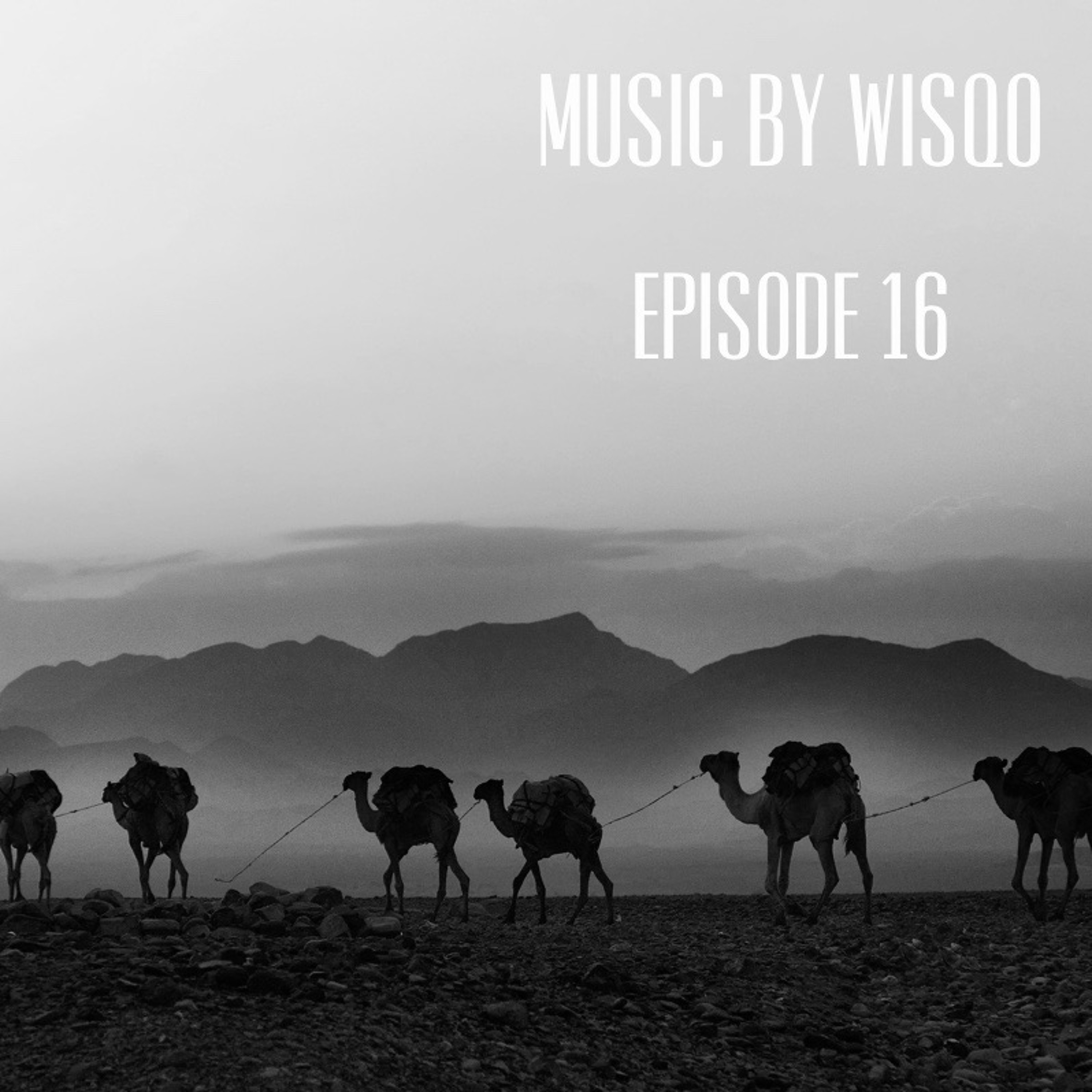 Wisqo