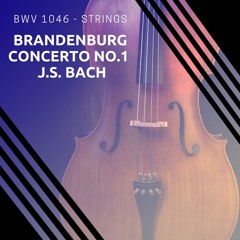 BWV 1046 Brandenburg Concerto No 1 STRINGS