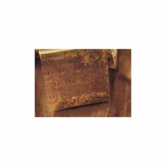 collect the pigeon's feathers and become icarus - brown duo remix (2017)