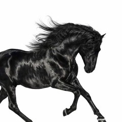 Lil Nas X - Old Town Road Remix