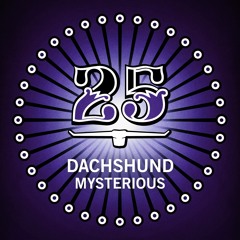 Dachshund - Mysterious (Dilby Remix)[Bar25-092]