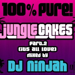 100% PURE! Jungle Cakes Part .2 ''It's all love'' - Mixed by DjNinjah [14.12.13] **FREE DOWNLOAD**