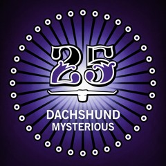 Dachshund - Pickle (Original Mix)[Bar25-092]