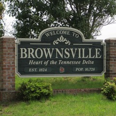Goin To Brownsville - Brian The Lion