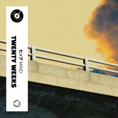 Twenty Weeks - Mind