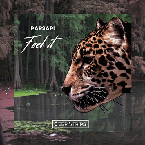 PARSAPi - Feel It (Original Mix)