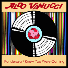 Knew You Were Coming (7" Edit)