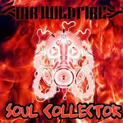 Mr. WildFire - Soul Collector