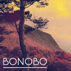 Bonobo - The Keeper SteppA Remix