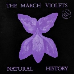 VOL XVIII THE MARCH VIOLETS
