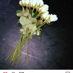 NIGHTLY twenty something   go listen