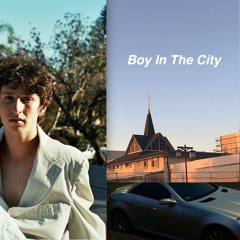 Boy In The City