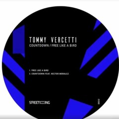 Tommy Vercetti - Free Like A Bird (Original Mix) [Street King]