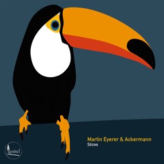 Martin Eyerer & Ackermann - Linearity