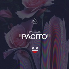 Pacito W/ Amaculate