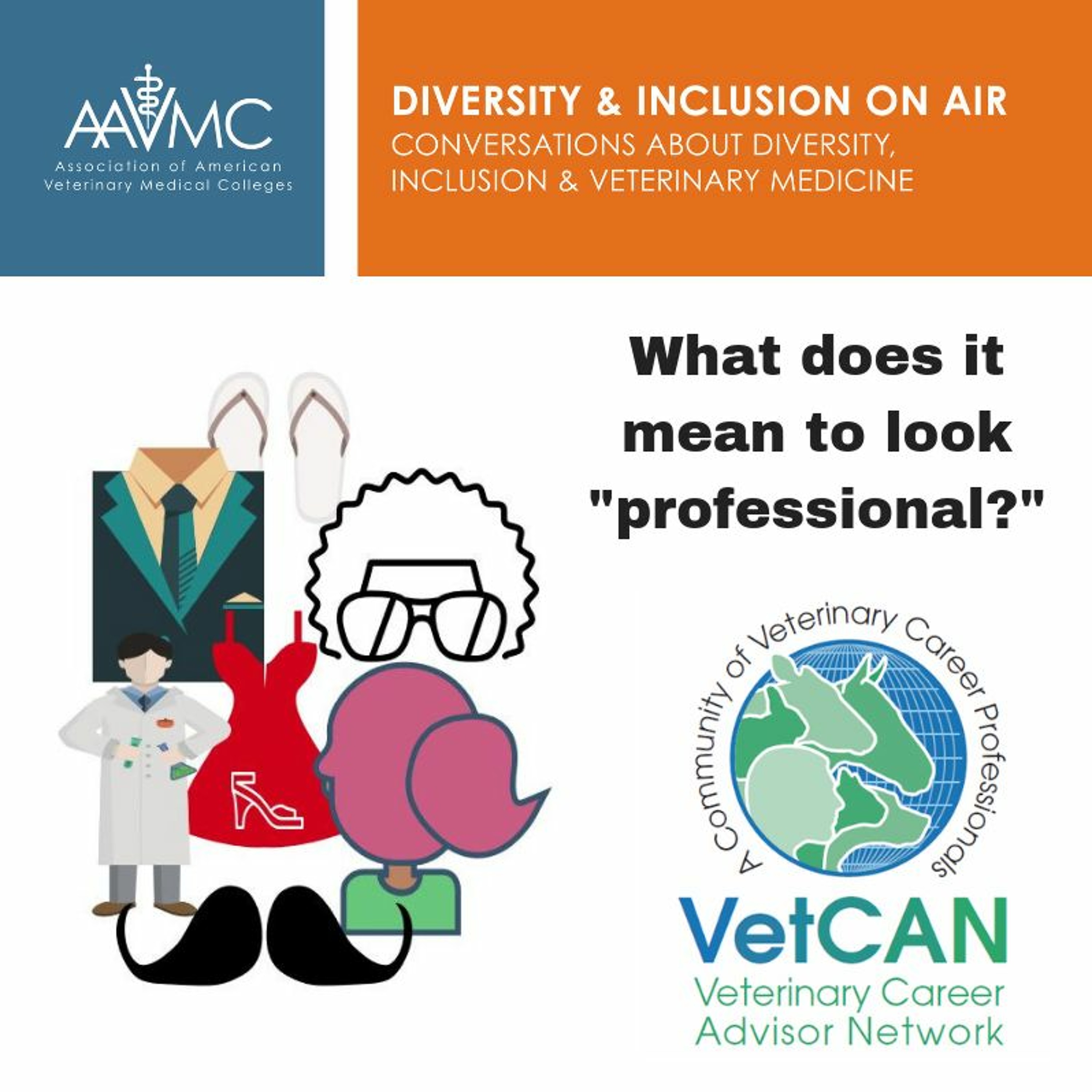 AAVMC\'s On Air: Conversations about Issues in Veterinary Medicine