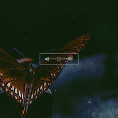 Battle Beat - Drunk Butterfly