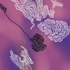SERRIS - Rope