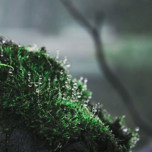 Soothing Strings // 333Hz