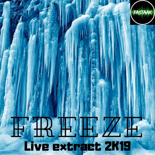 _Freeze_ Live extract 2019 (TribeCore Acidulé 170bpm)