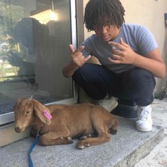 Praiiformoses - Lavar (snippet)