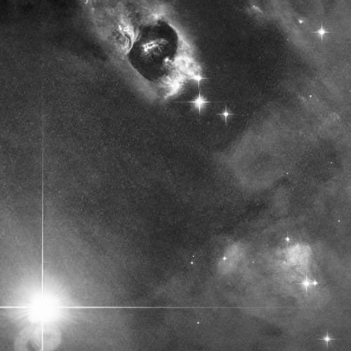 stardust