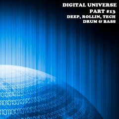 Digital Universe #13