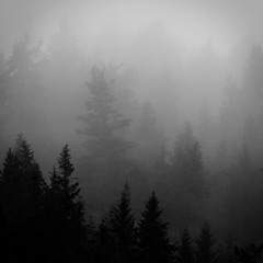 The Fog [Free Download]