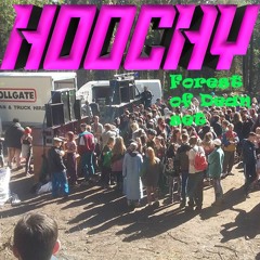 Hoochy- Forest of Dean set 30 year djing anniversary