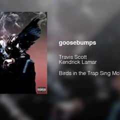 Travis Scott X Goose Bumps