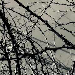 The Inward Expanse