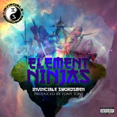 Element Ninjas
