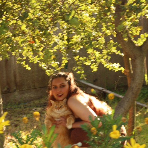 Do Not Wait(Cover) - Wallows