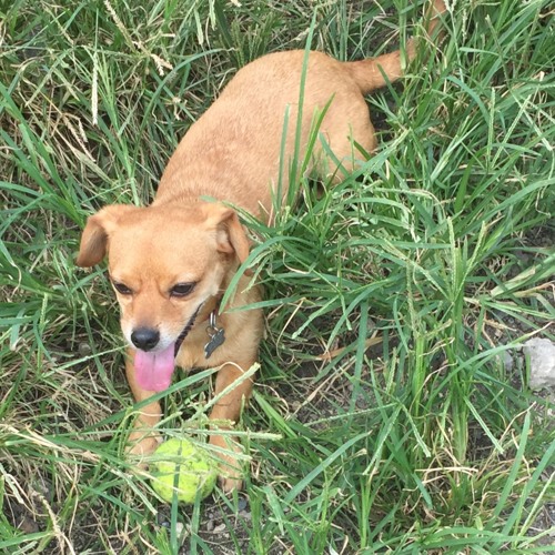 Interlude (Follow Your Nose)