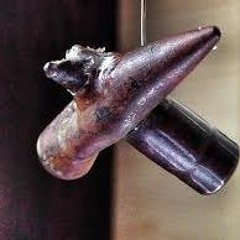 Amphibious Bumblebees Defend The Kelp Forest