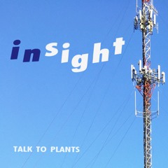 Insight