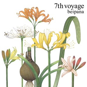 beipana - 7th voyage