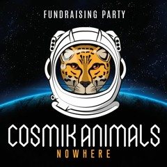 Live @ Cosmik Animals Fundraising (Brussels)