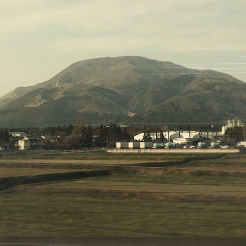 米桜 / 88th Sakura