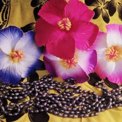 Josh Namauleg I Don't Wanna Dance