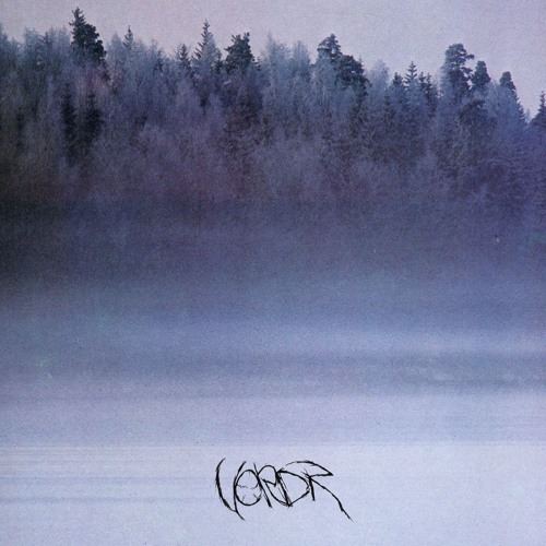 VORDR -Chained in Recollections of a Life That Once Was